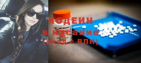 индика Балабаново