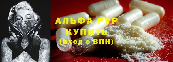 индика Балабаново