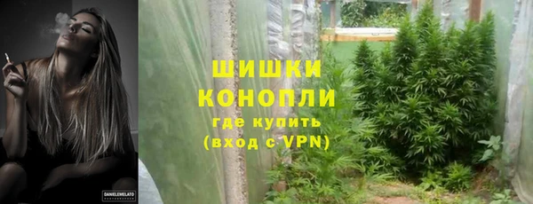 индика Балабаново