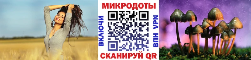 Купить закладки  Белоозёрский  Псилоцибиновые грибы Magic Shrooms 